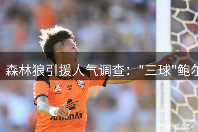 森林狼引援人气调查："三球"鲍尔成球迷最期待新星