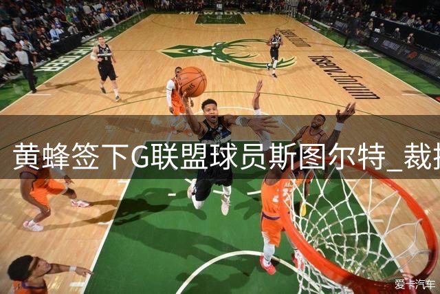 黄蜂签下G联盟球员斯图尔特 裁掉乔伊纳